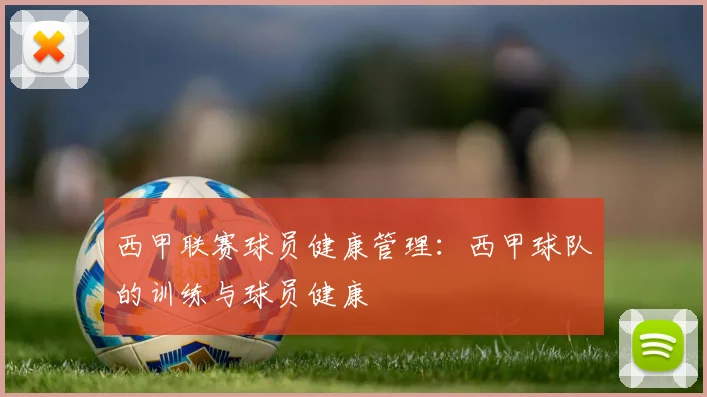 西甲联赛球员健康管理：西甲球队的训练与球员健康