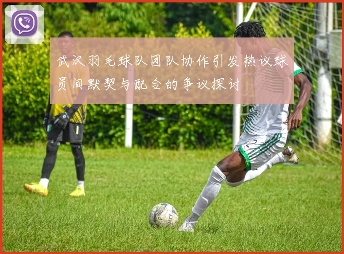 武汉羽毛球队团队协作引发热议球员间默契与配合的争议探讨